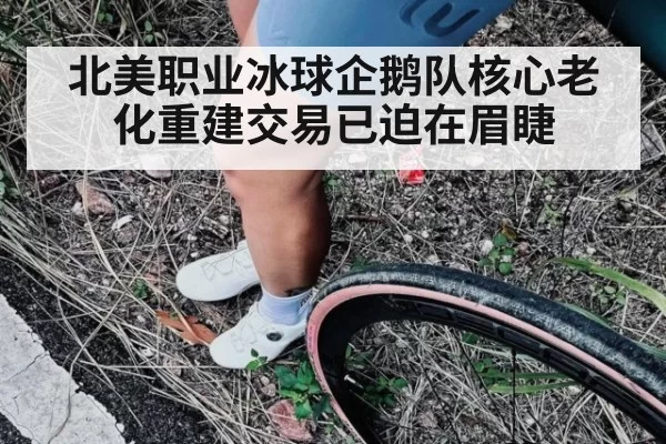 北美职业冰球企鹅队核心老化重建交易已迫在眉睫